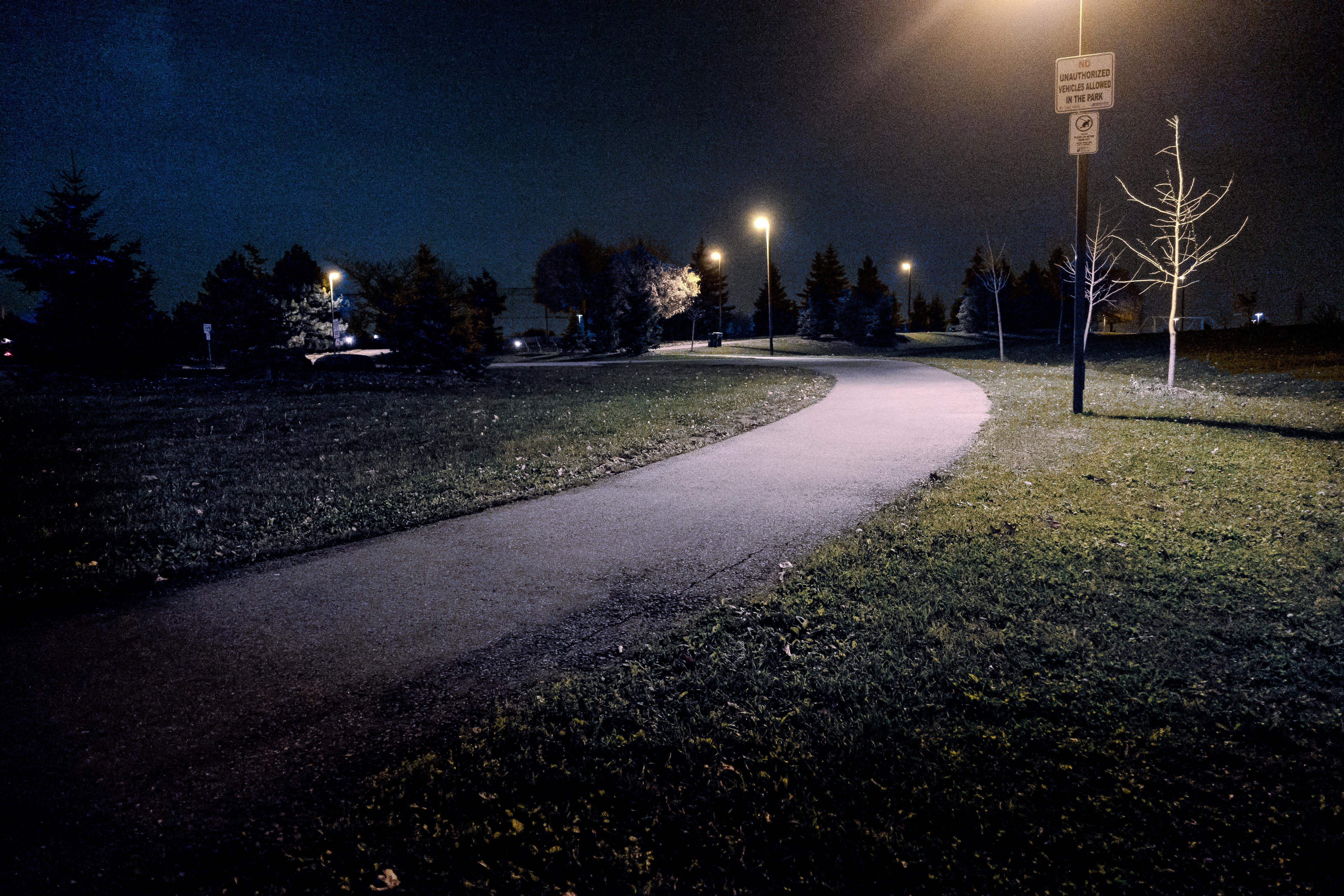 2014-11-05-DSC00049-Edit