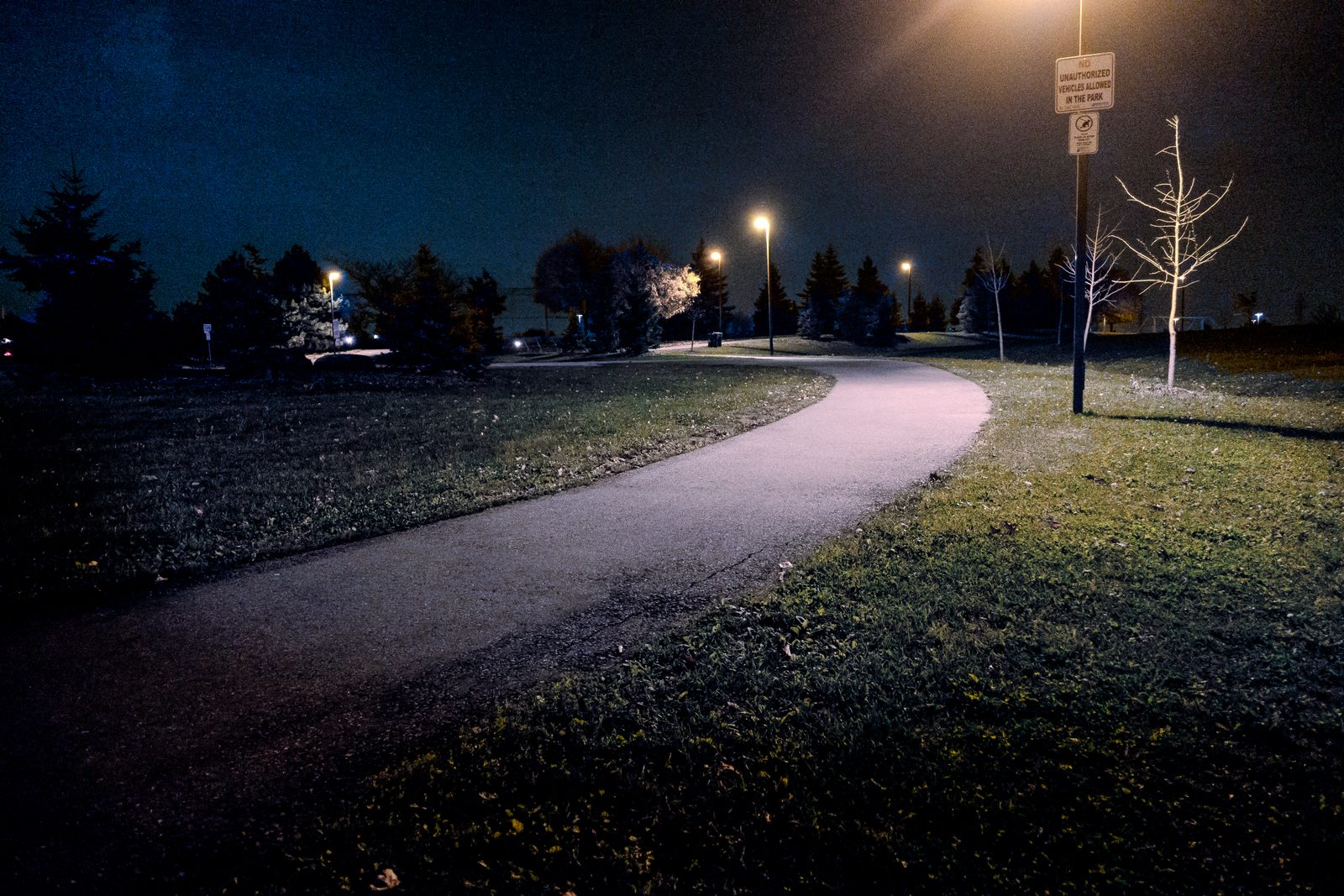 2014-11-05-DSC00049-Edit