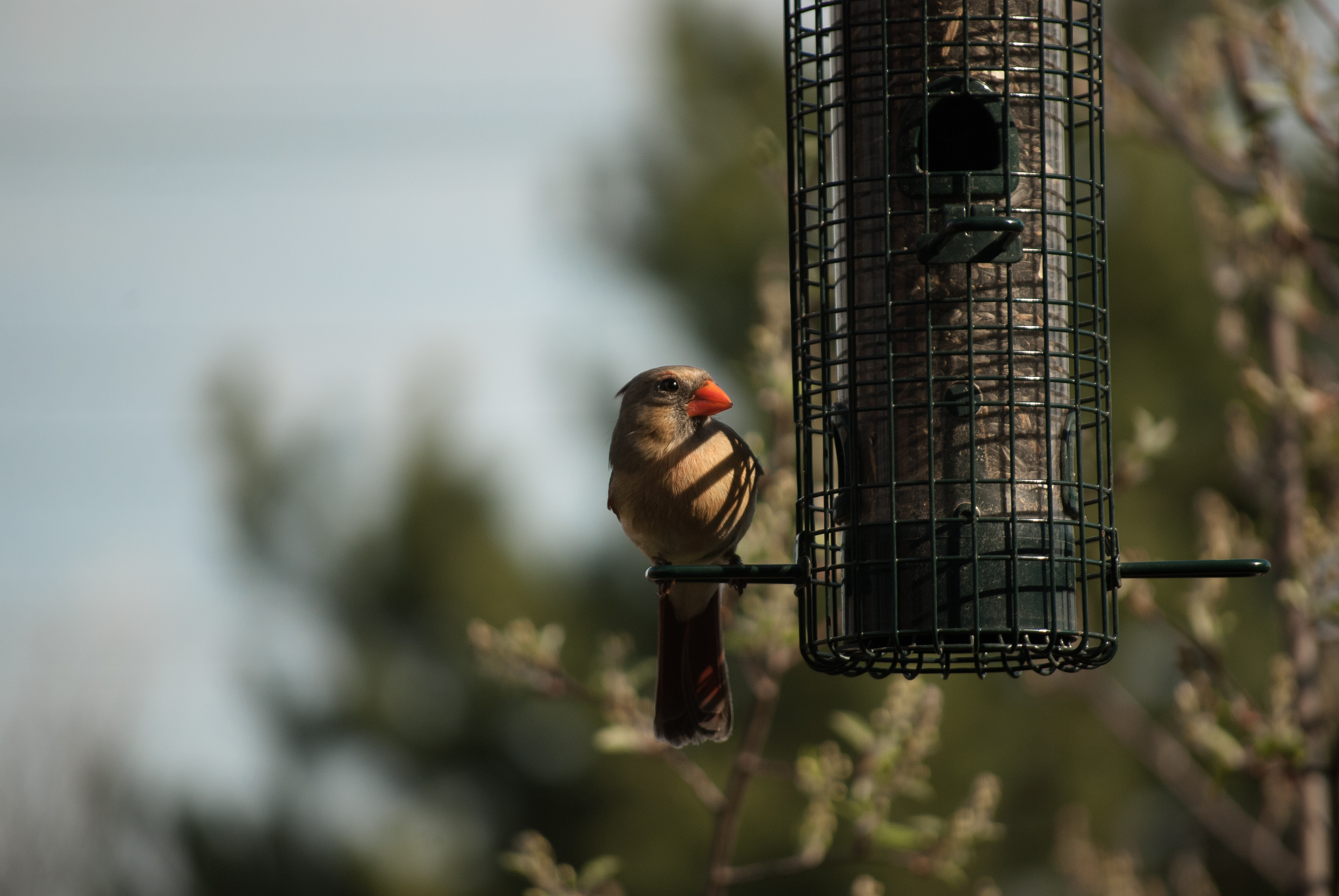 2015-05-03-DSC_0100